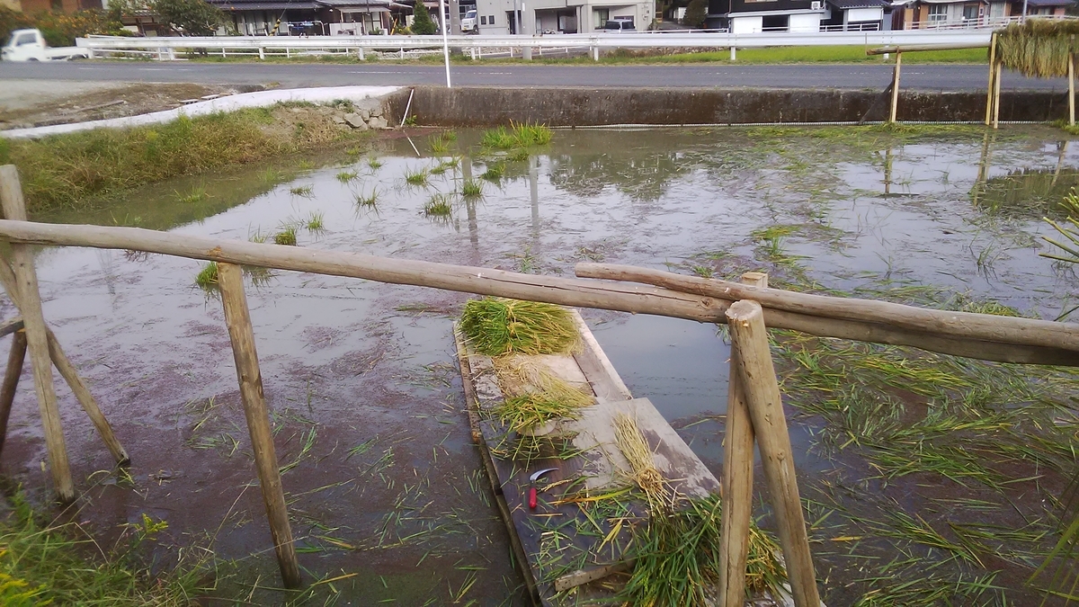 f:id:himitunokobeya:20211021081358j:plain