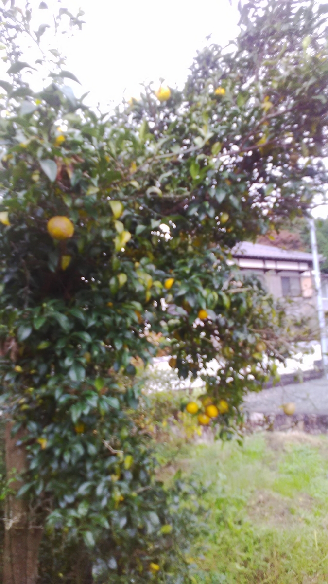 f:id:himitunokobeya:20211112135357j:plain