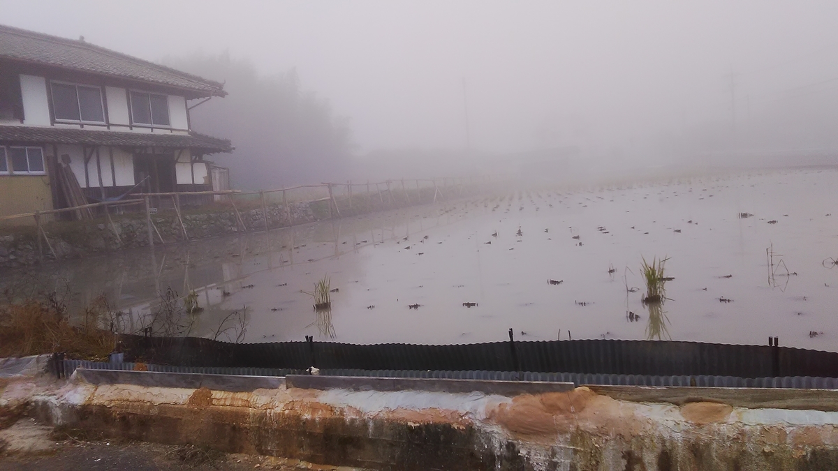 f:id:himitunokobeya:20211117083934j:plain