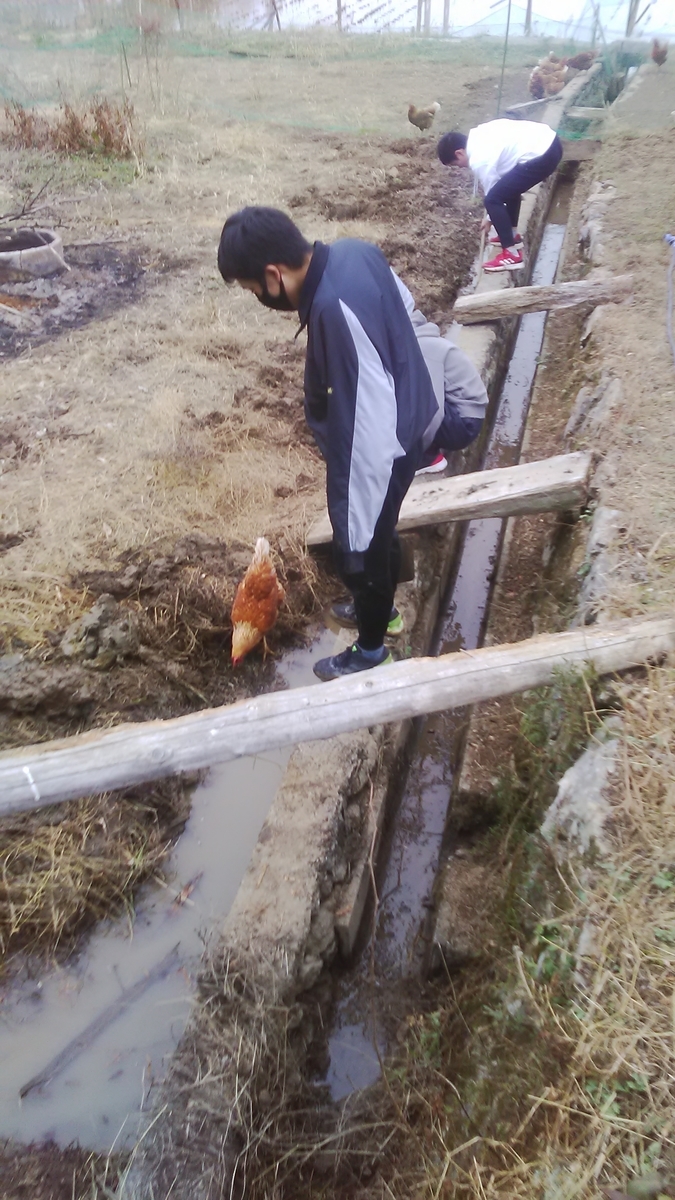f:id:himitunokobeya:20220106082329j:plain