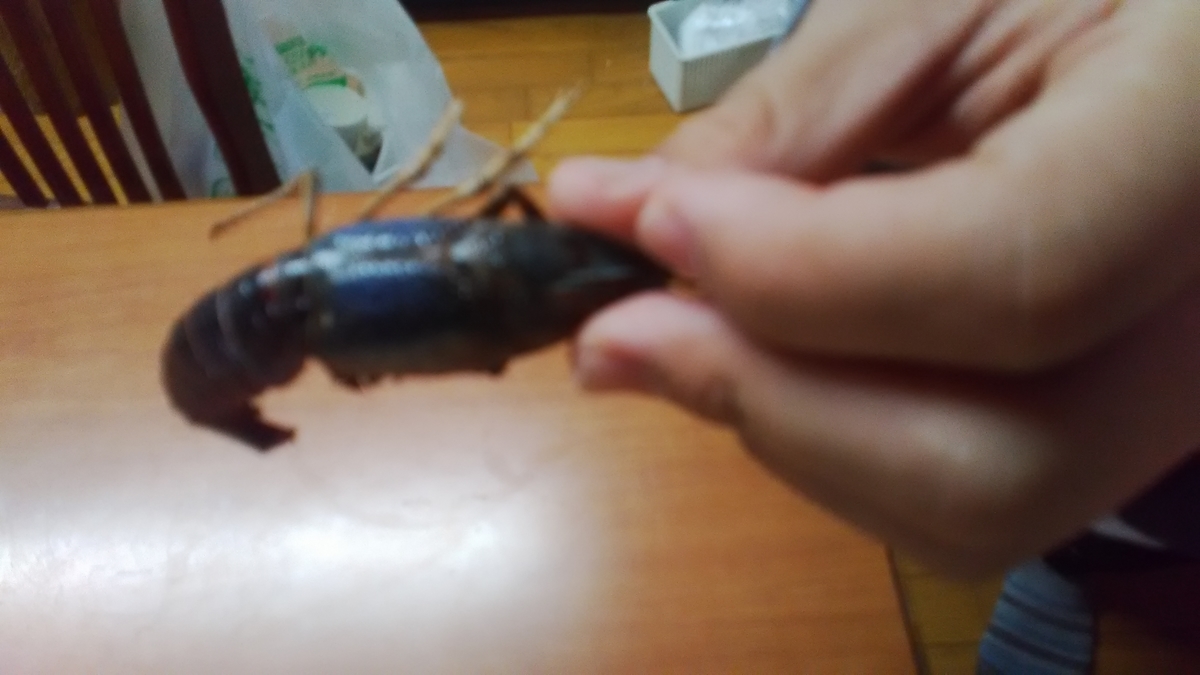 f:id:himitunokobeya:20220106083112j:plain