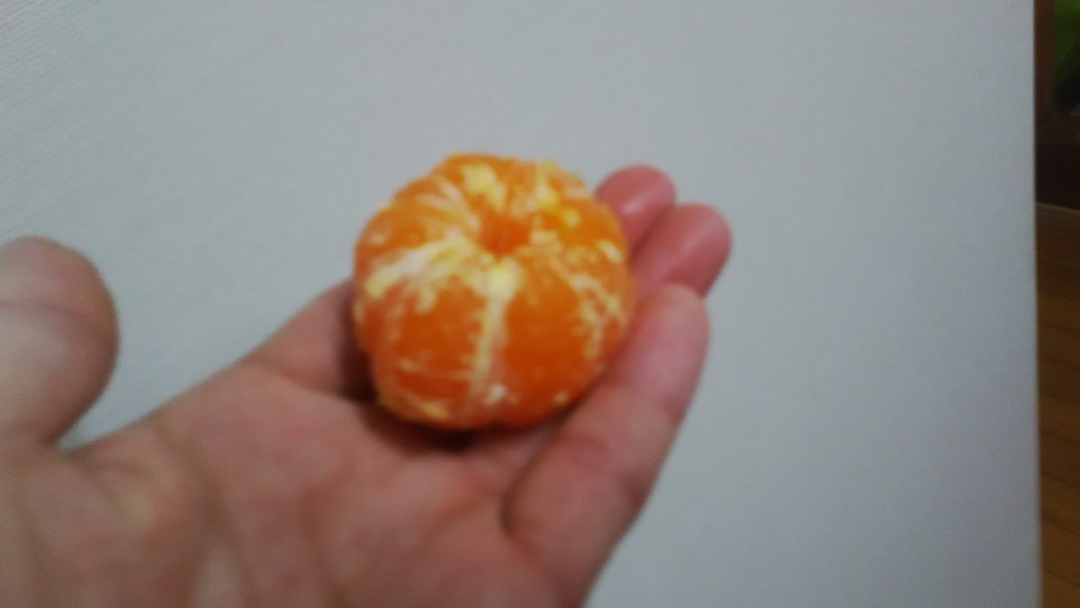 f:id:himitunokobeya:20220107124400j:plain