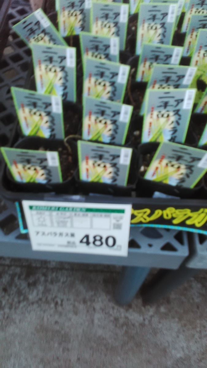 f:id:himitunokobeya:20220120092337j:plain