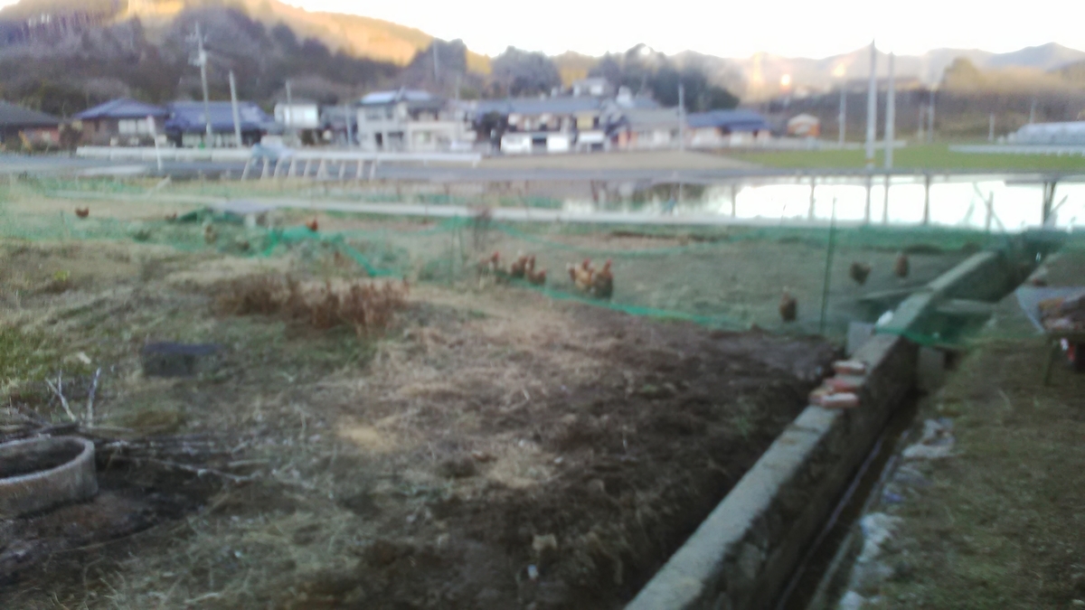 f:id:himitunokobeya:20220120092939j:plain