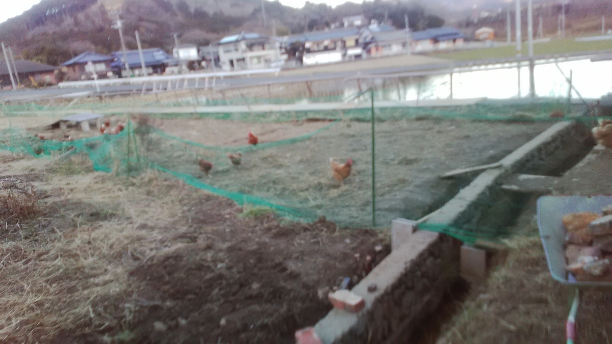 f:id:himitunokobeya:20220122095718j:plain