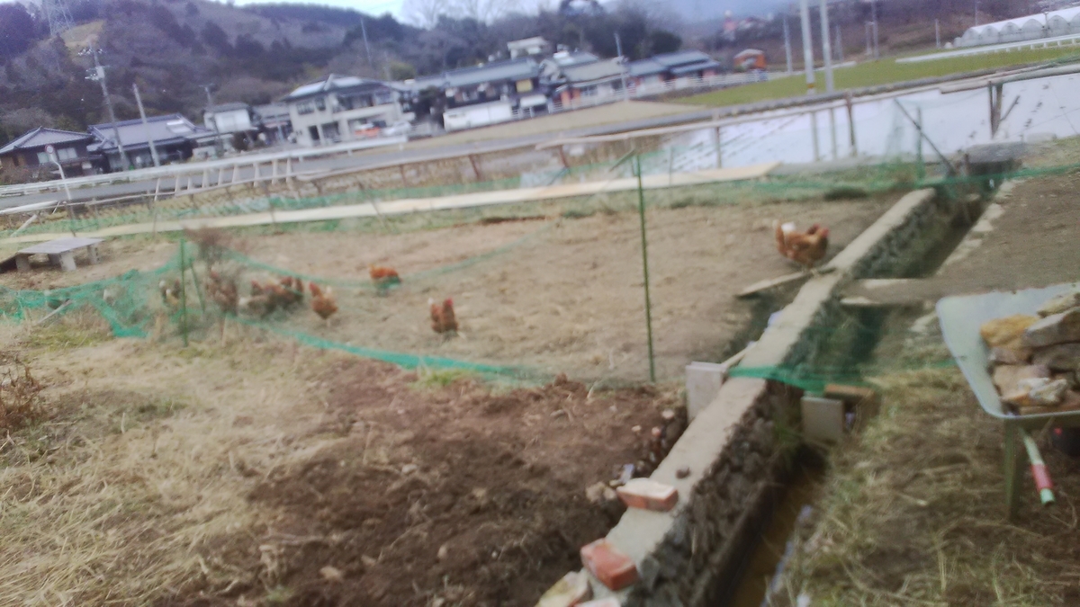 f:id:himitunokobeya:20220123094122j:plain