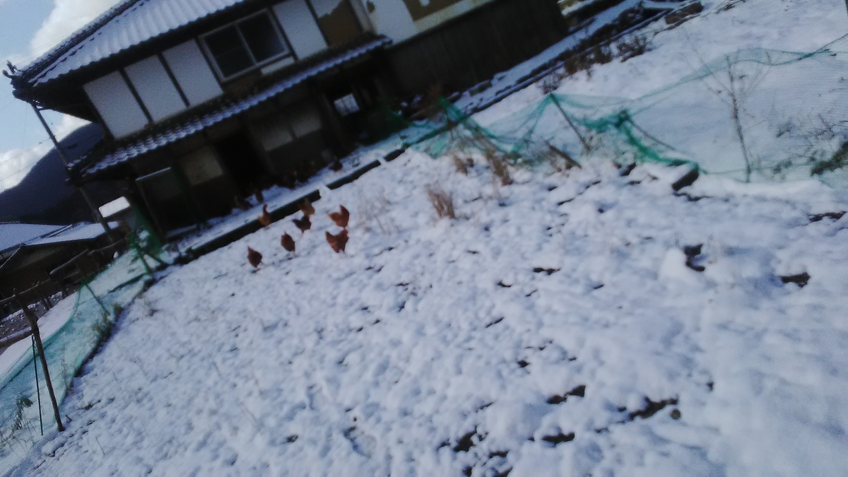 f:id:himitunokobeya:20220207084304j:plain
