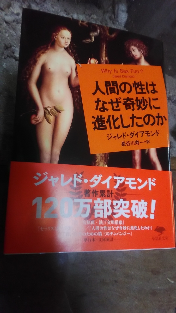f:id:himitunokobeya:20220209095801j:plain