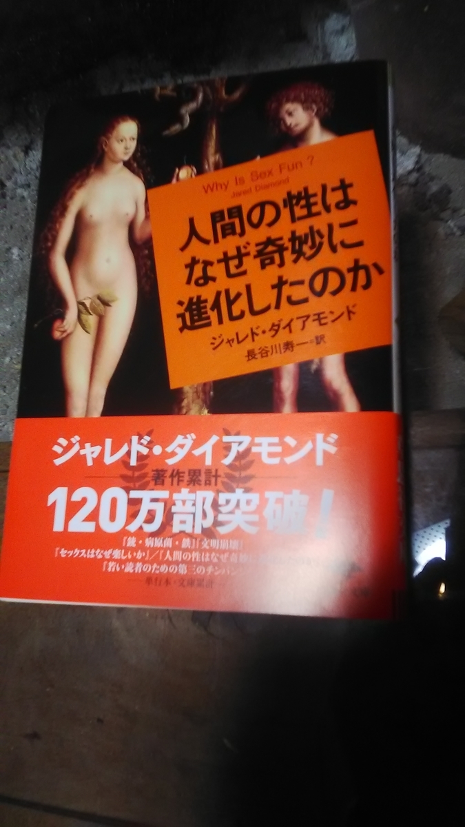 f:id:himitunokobeya:20220210093334j:plain