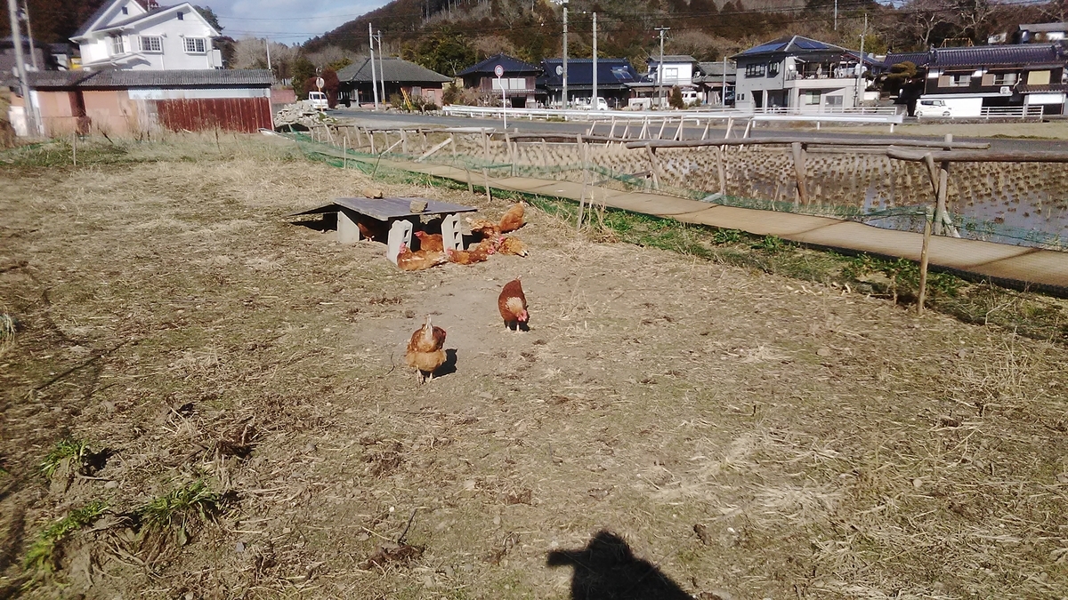 f:id:himitunokobeya:20220223111908j:plain