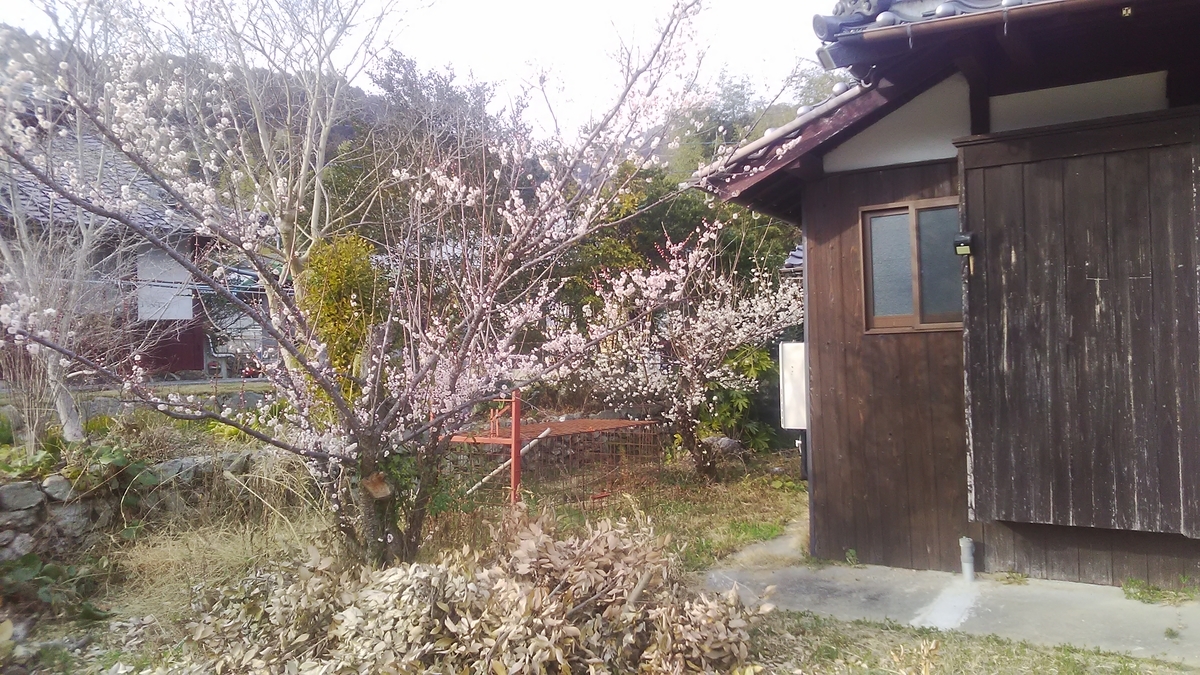 f:id:himitunokobeya:20220311083706j:plain