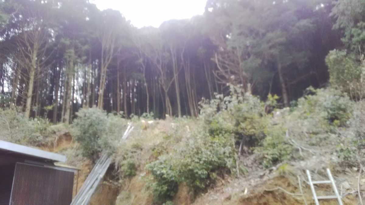 f:id:himitunokobeya:20220314082630j:plain
