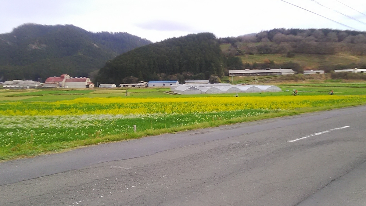 f:id:himitunokobeya:20220331090657j:plain