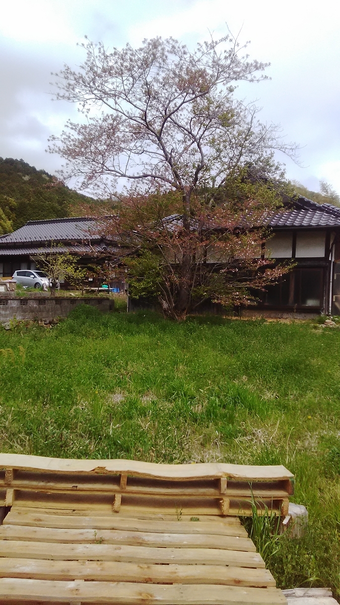 f:id:himitunokobeya:20220413142349j:plain