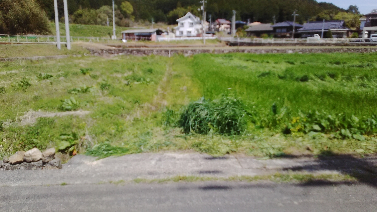 f:id:himitunokobeya:20220417122008j:plain