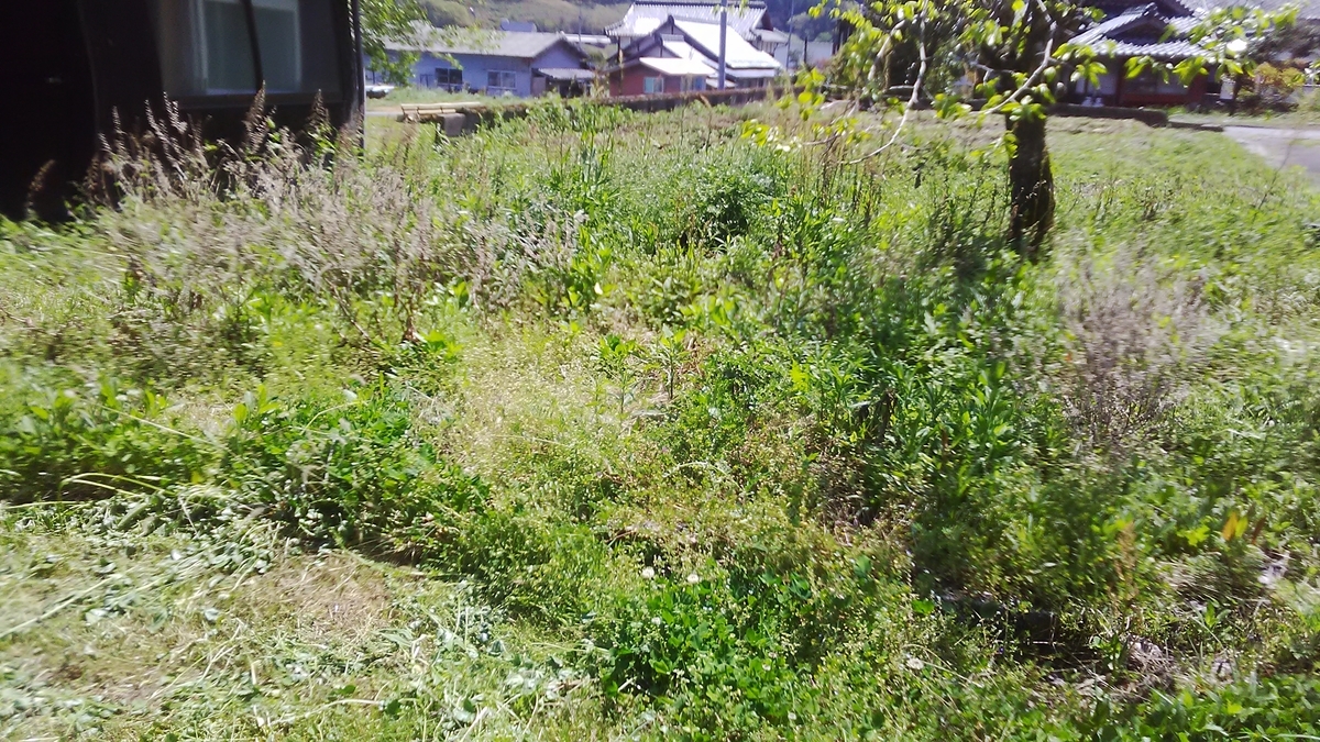 f:id:himitunokobeya:20220417122232j:plain