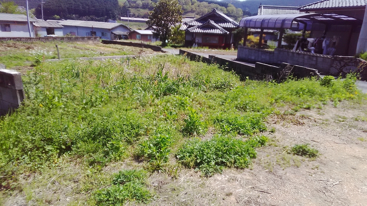 f:id:himitunokobeya:20220417122559j:plain