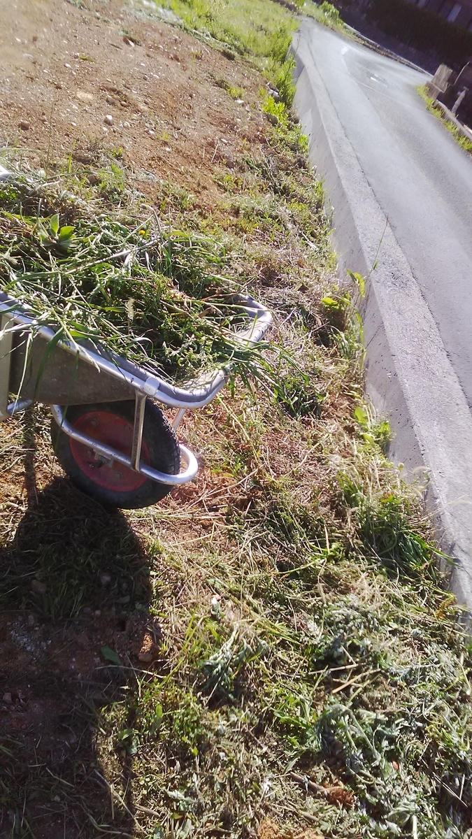 f:id:himitunokobeya:20220417122824j:plain