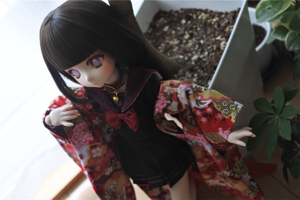f:id:himonihp0:20230601111926j:image