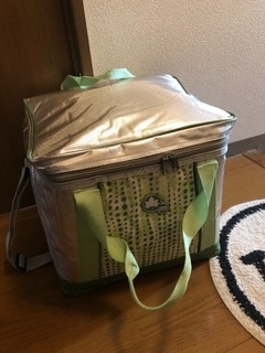 f:id:himorih:20200606072014j:plain