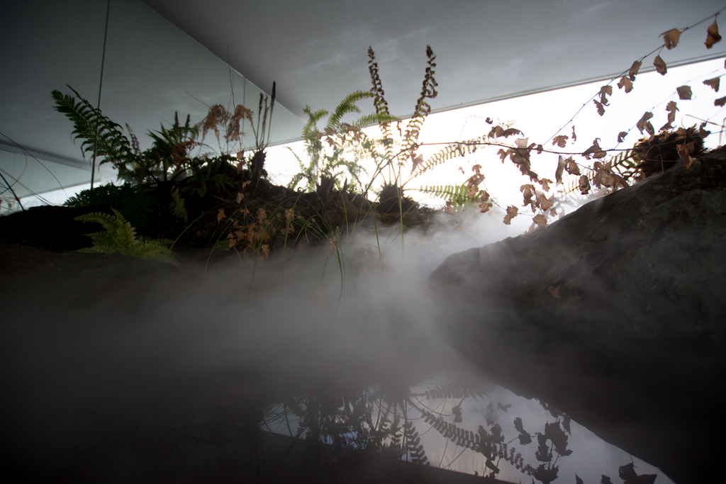 f:id:himukazu0616:20190203213748j:plain