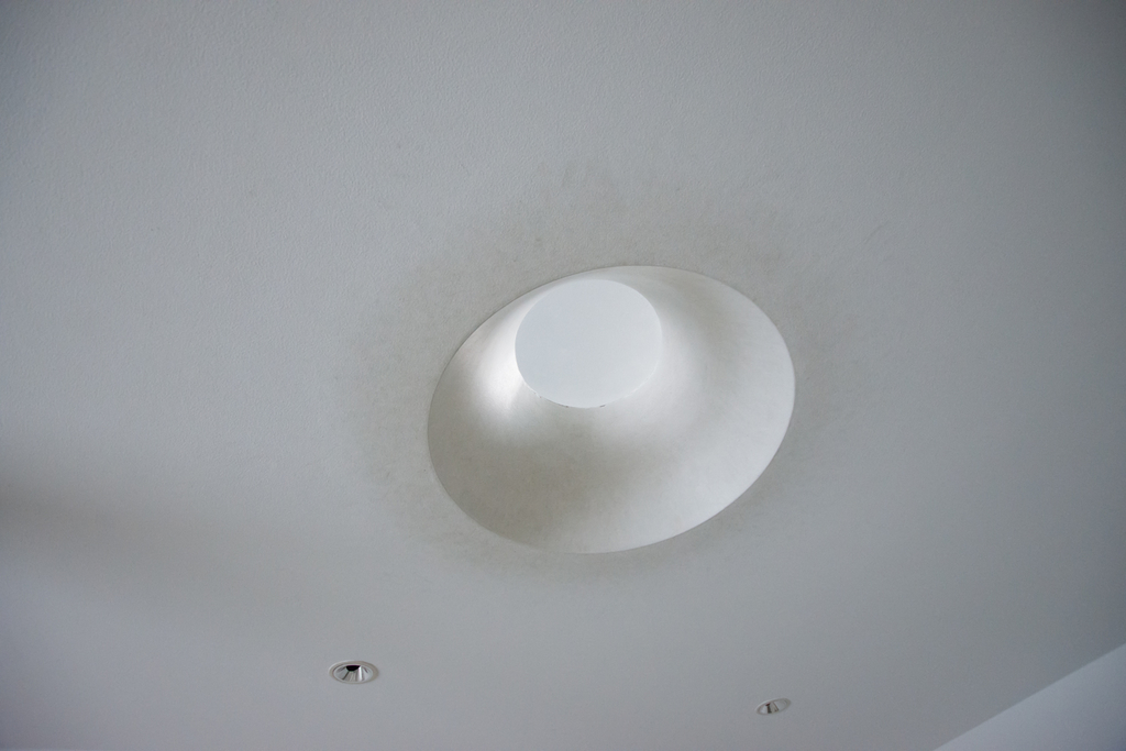 f:id:himukazu0616:20190203215600j:plain