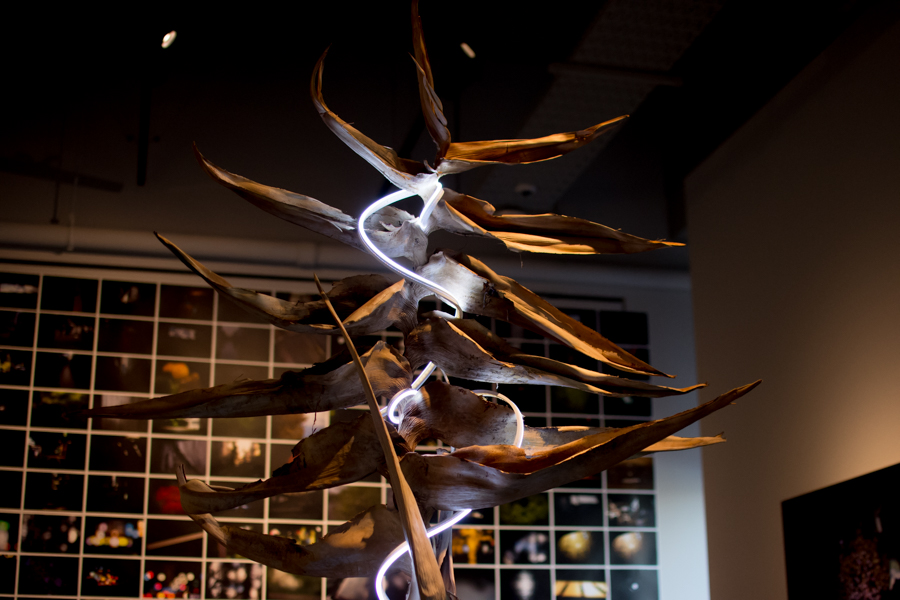 f:id:himukazu0616:20190205181924j:plain