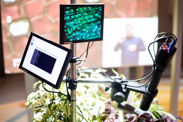 f:id:himukazu0616:20201018200111j:plain