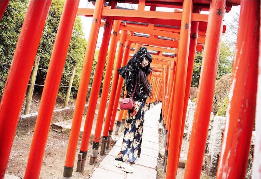 f:id:hinaagi:20190318123538j:image f:id:hinaagi:20190318123538j:image