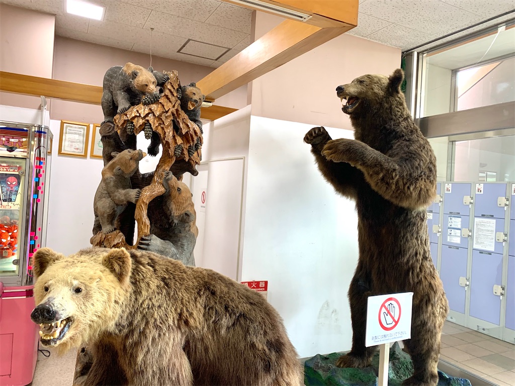 徹底紹介！】ヒグマがすぐそこに。のぼりべつクマ牧場に行ってきました