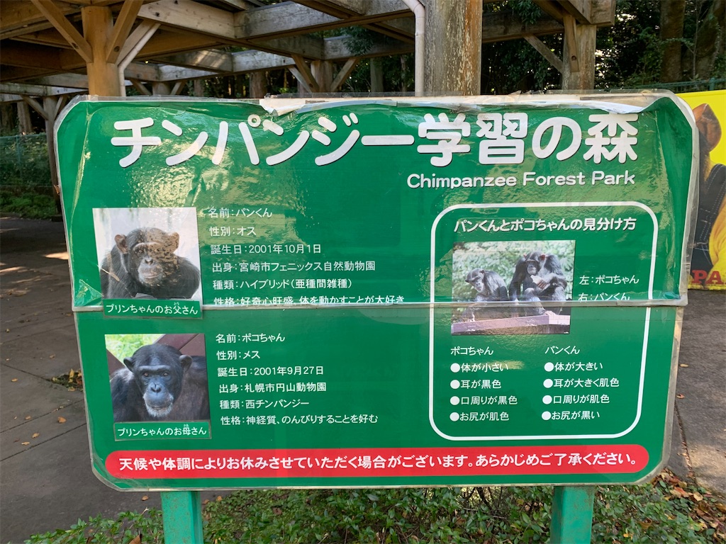 パン くん 動物園