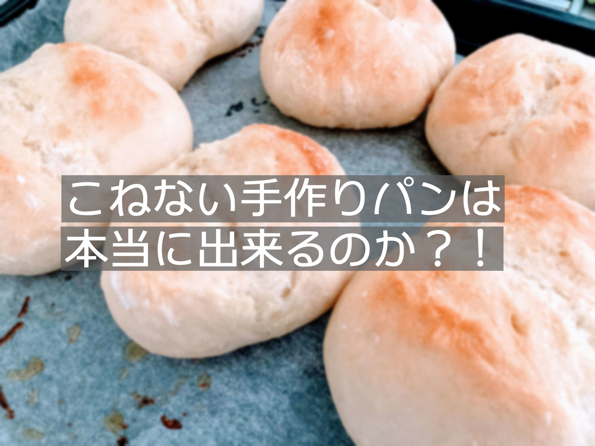 f:id:hinadori-subako:20201119130940j:plain