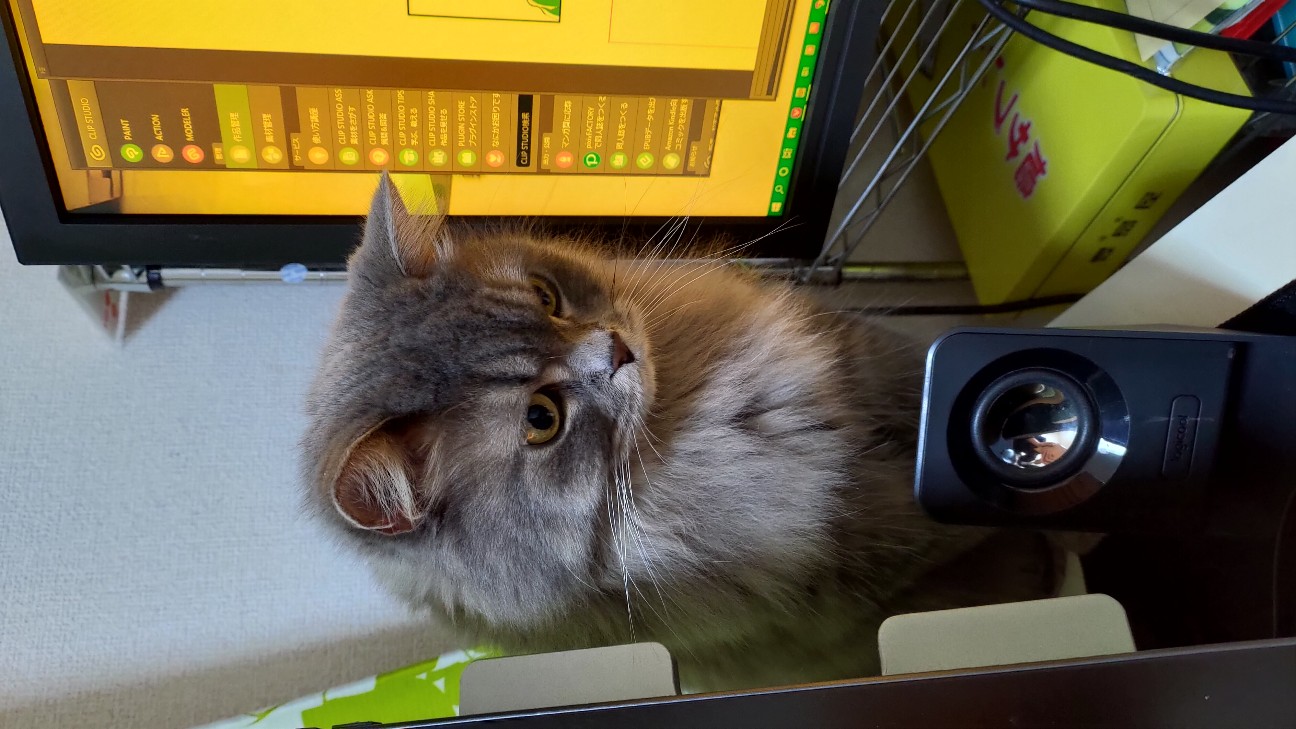 f:id:hinaho:20191205120842j:image