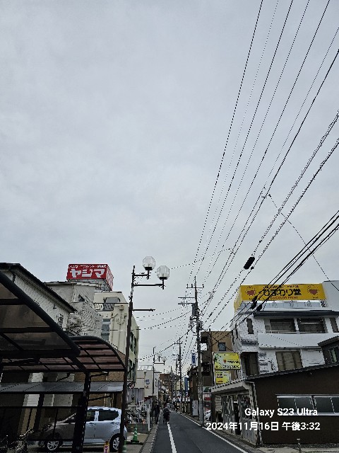 f:id:hinaki_y:20241116223817j:image