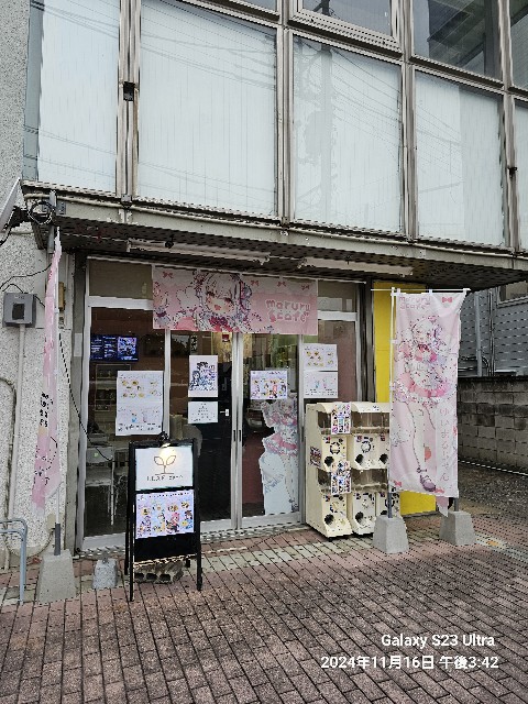 f:id:hinaki_y:20241116223956j:image