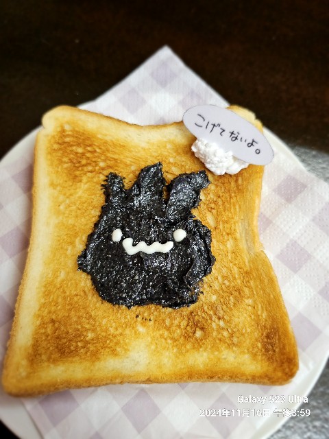 f:id:hinaki_y:20241116224134j:image
