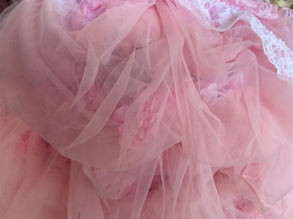 f:id:hinamomosail:20241025130052j:image