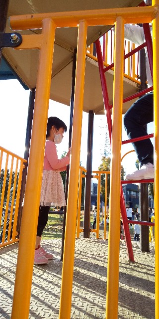 f:id:hinana2012:20201027114800j:image