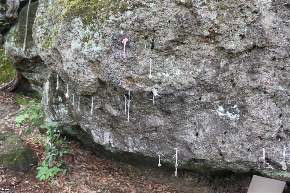 f:id:hinasaki:20200525152833j:plain