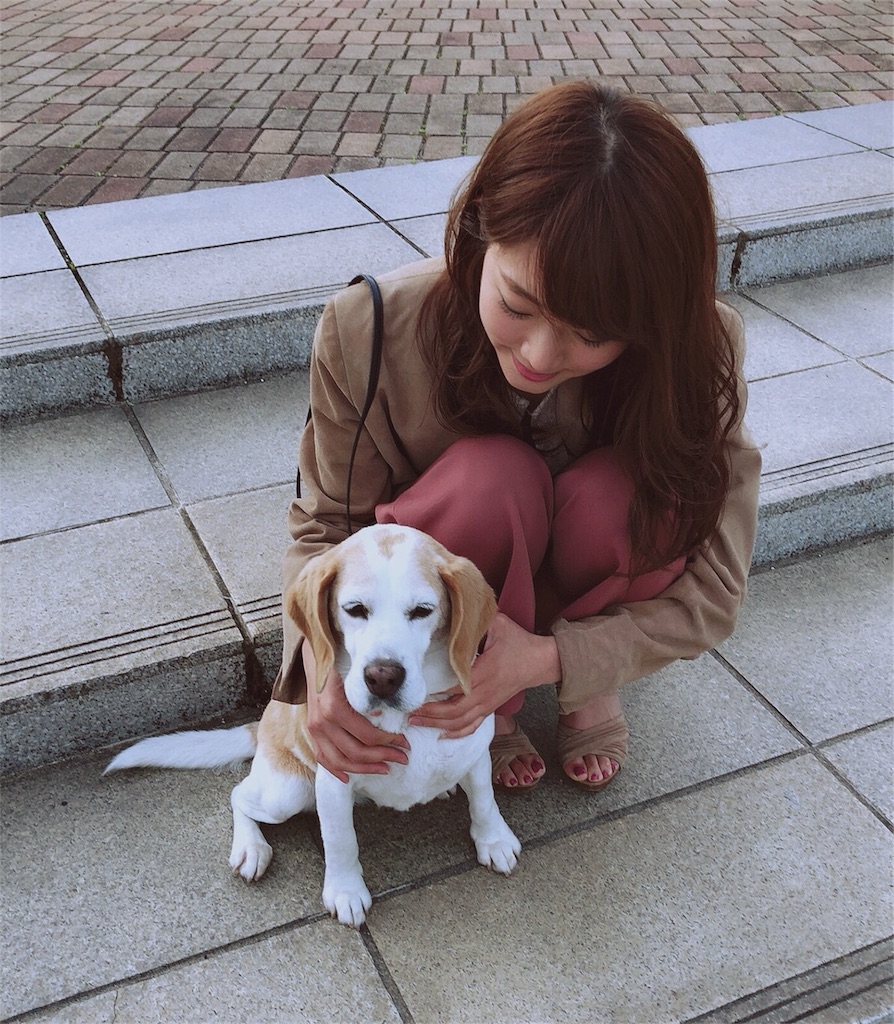 f:id:hinaship:20180719092104j:image