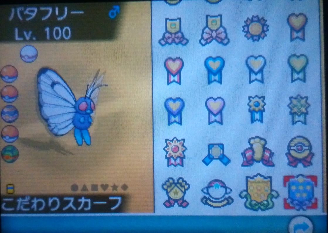 バタフリーを極めろ リボンコンプへの道 第六世代編 後半 ポケモン ひなたのゲーム記録 ゆるめ バタフリーを極めろ リボンコンプへの道 第六世代編 後半 ポケモン ひなたのゲーム記録 ゆるめ