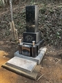 20250412164706