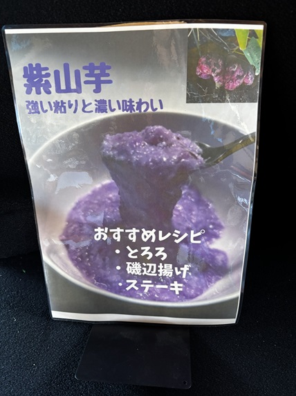 紫山芋のむかご販売中 - hinata-panpukinのブログ