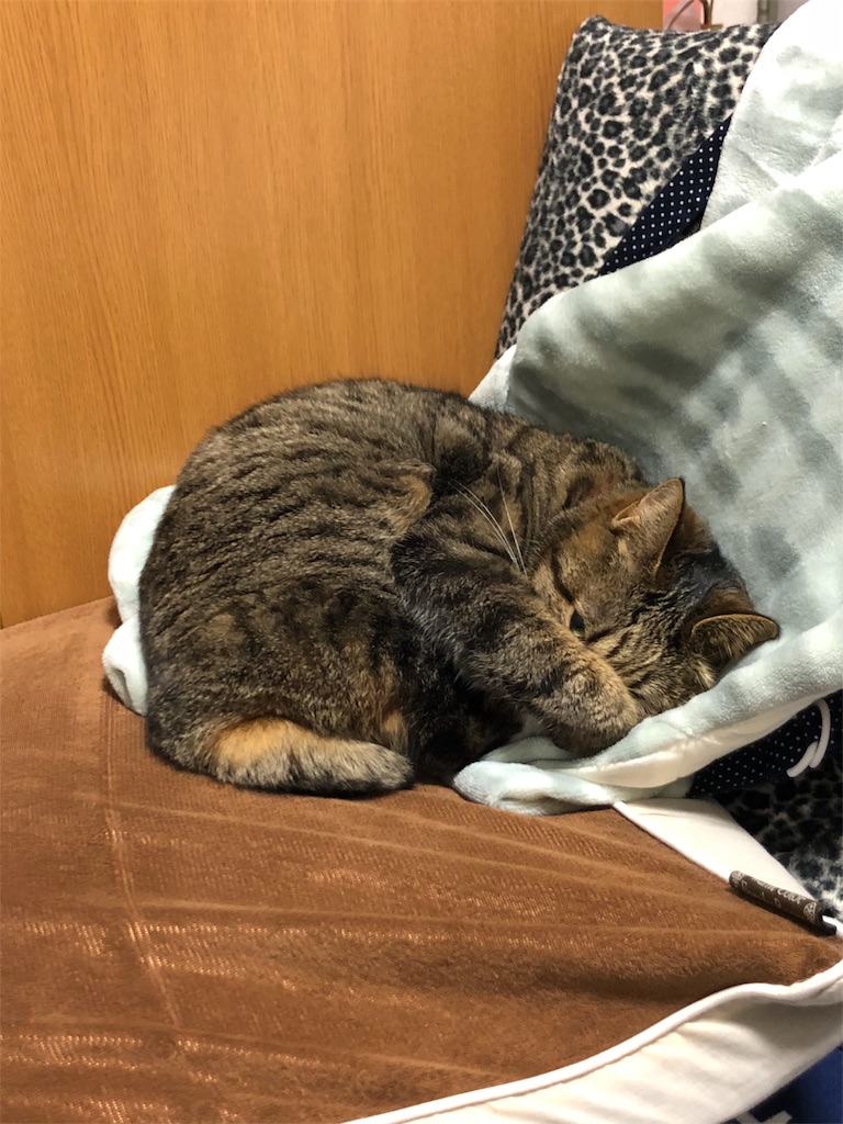 f:id:hinata0918:20180203150111j:image f:id:hinata0918:20180203150111j:image