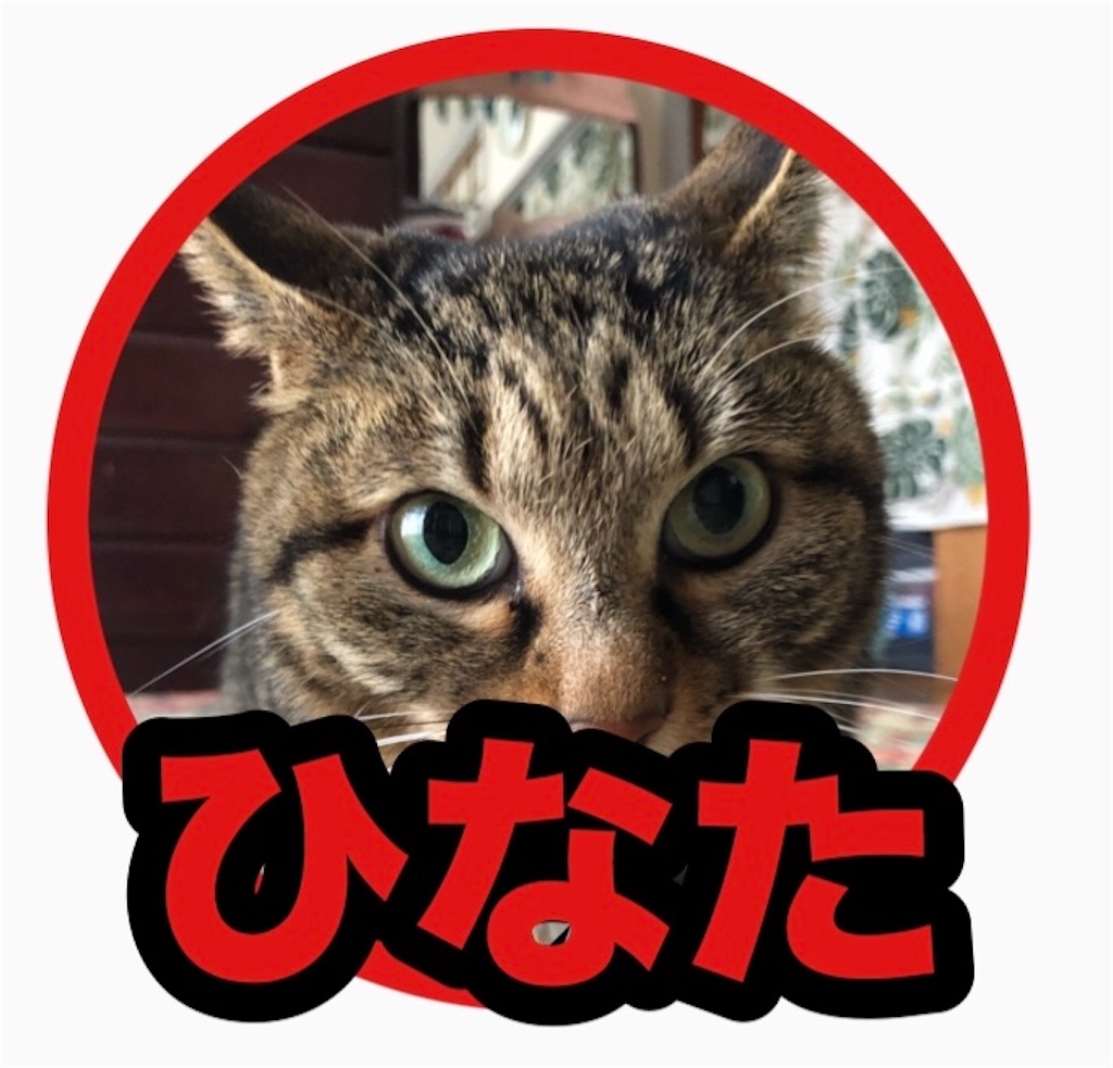 f:id:hinata0918:20180817184411j:image f:id:hinata0918:20180817184411j:image