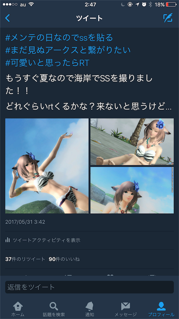 f:id:hinata_bluerose:20170601024859p:image