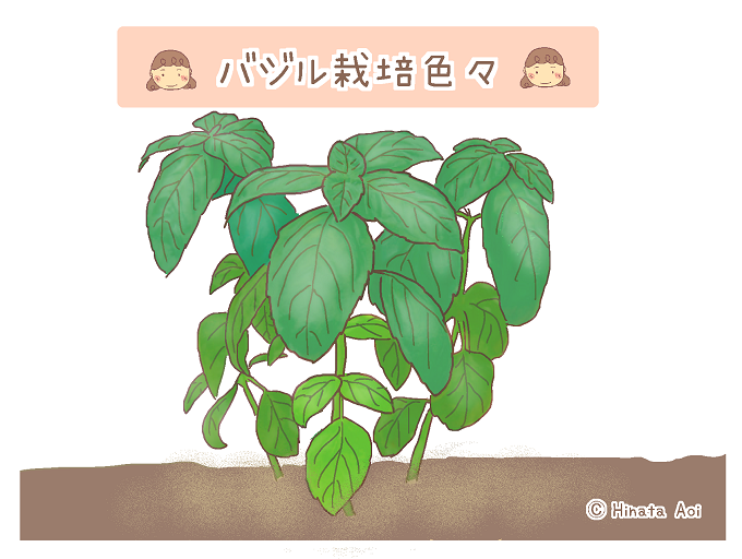 f:id:hinataaoi:20170724165809p:plain