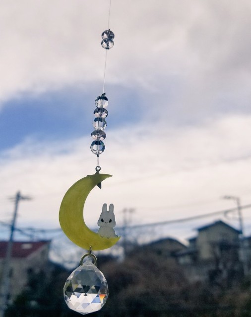 f:id:hinatabocco2:20190201181311j:image