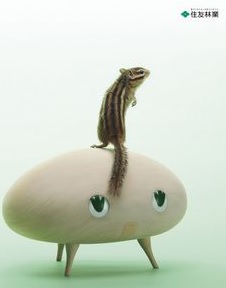 f:id:hinatahima:20190215163258j:plain