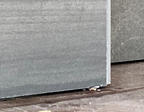 f:id:hinatahima:20191203110052j:plain